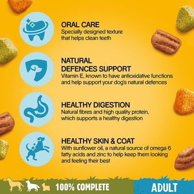 Pedigree Adult Komplett mit Rindfleisch und Gemüse