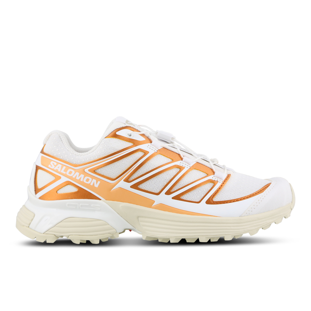 Salomon XT-PATHWAY METALLIC