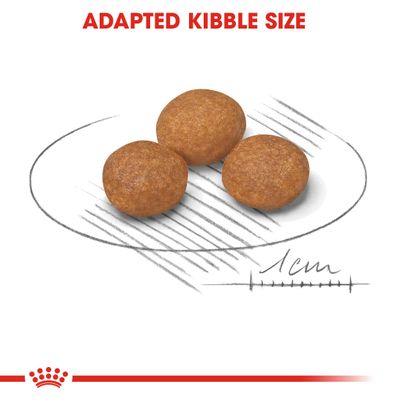 Royal Canin X-Small Adult 8+ -koira