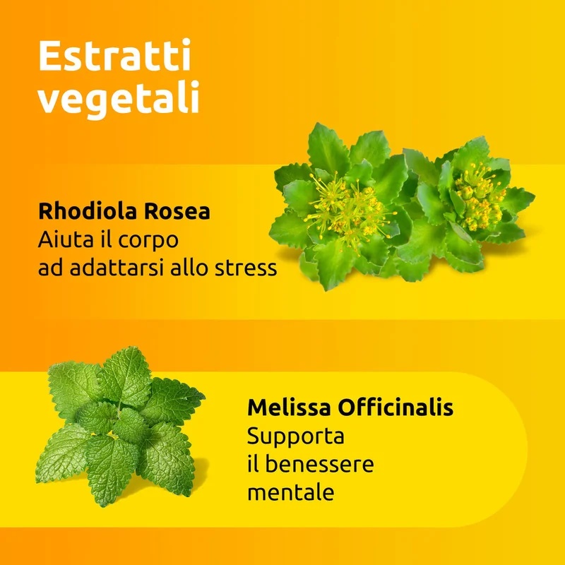 SUPRADYN Supradyn Recharge Sem Estresse 20 sachês suplemento alimentar de vitaminas e magnésio