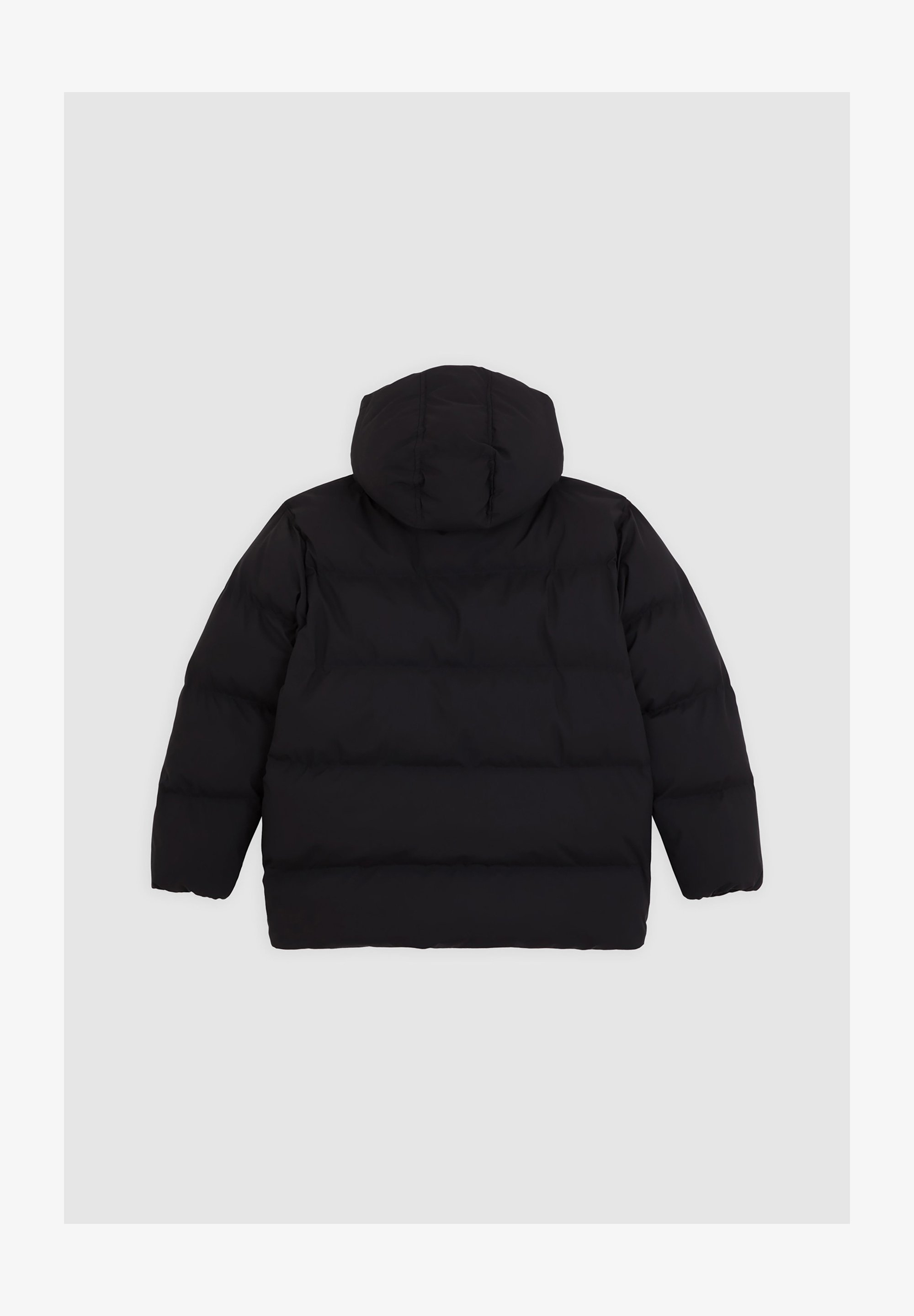 Vestes d'hiver Dickies