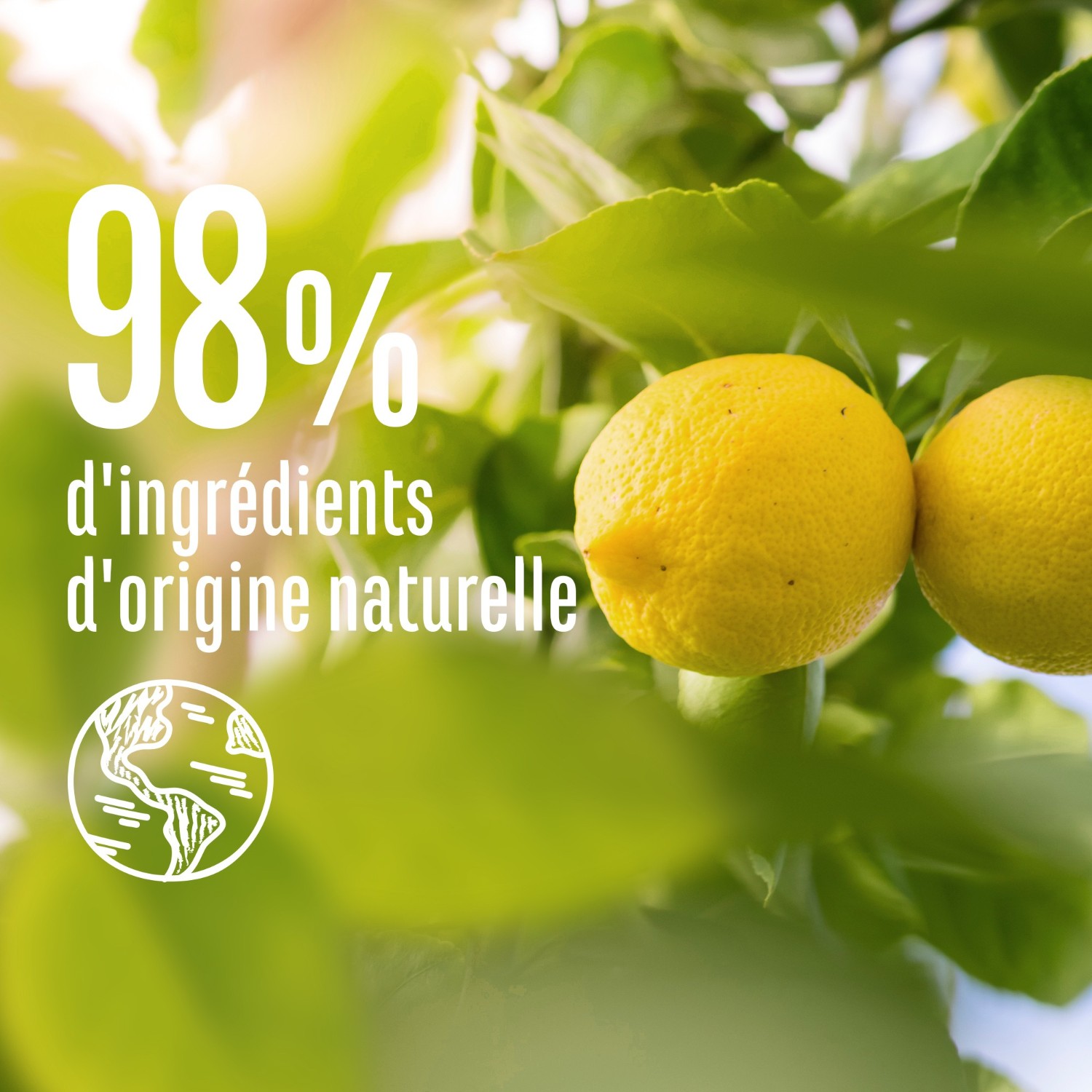 Le Petit Marseillais Shampooing Purifiant Ortie & Citron Bio