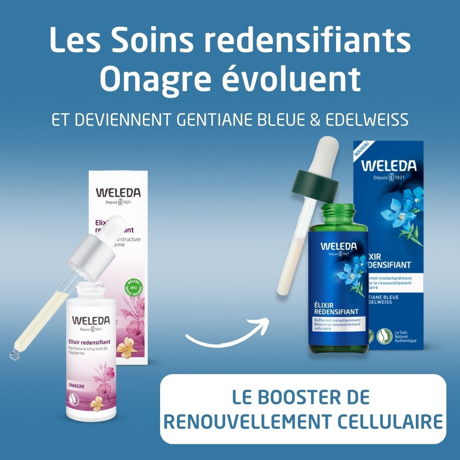 Weleda Elixir redensifiant Gentiane Bleue et Edelweiss - 30 ml