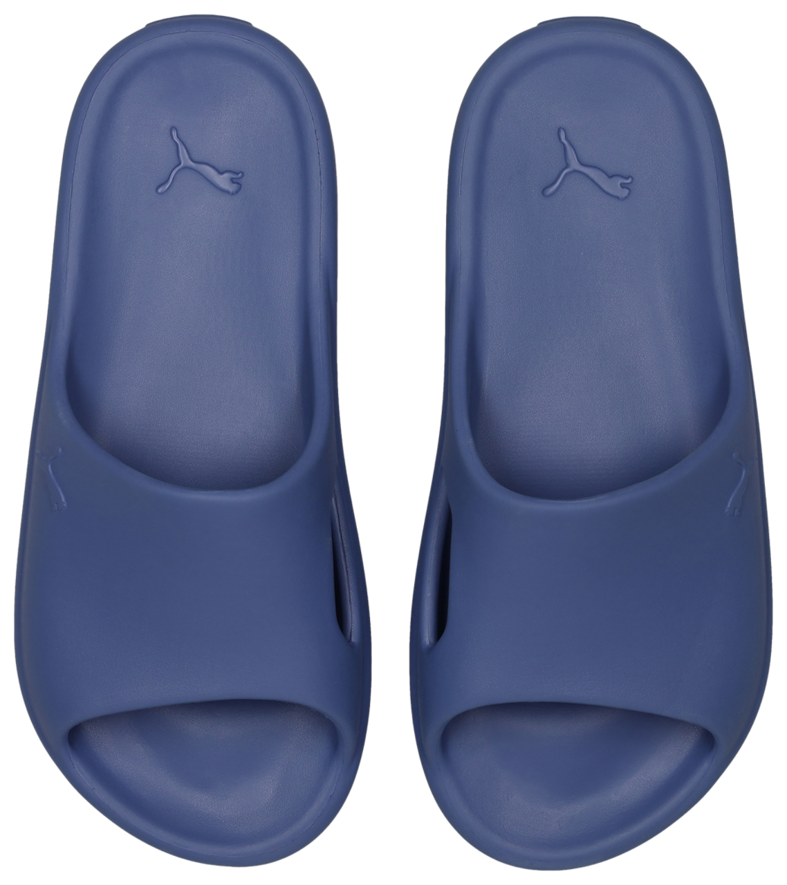 Puma Shibui Cat