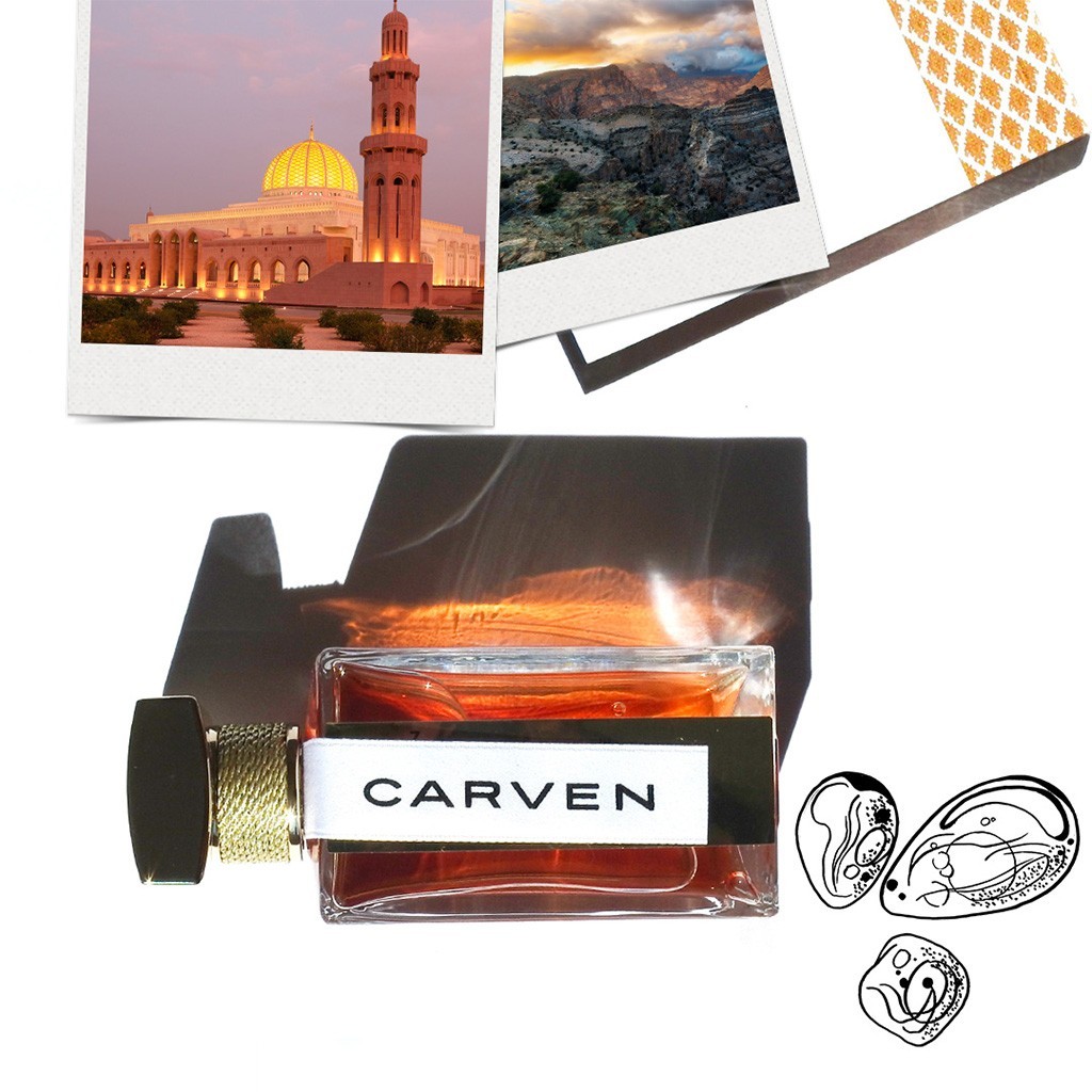 Carven PARIS MASCATE