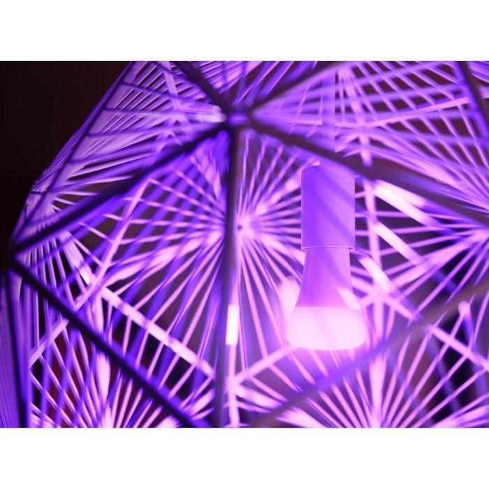 Paquete de actualización de bombillas inteligentes Philips Hue: Philips Hue Ambiance (blancas y de color) y Philips Hue Go