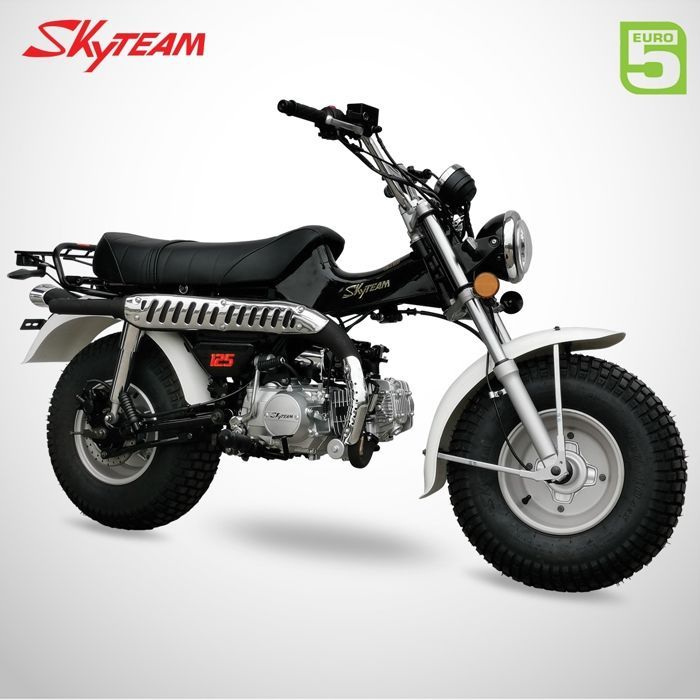 Mini Moto T-REX 125 SKYTEAM / Noir