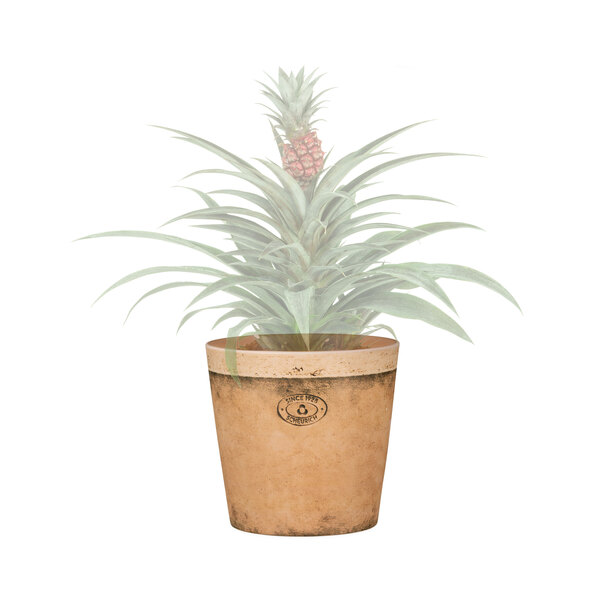 Keramik-Blumentopf 3er-set Ø 16 cm, Toscana Luminoso