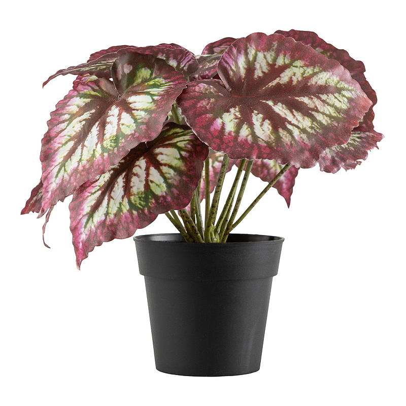 Kunstig Begonia Blossom King 20 cm