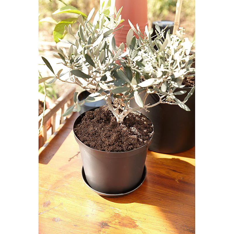 Orthex växtkruka ø 12 cm