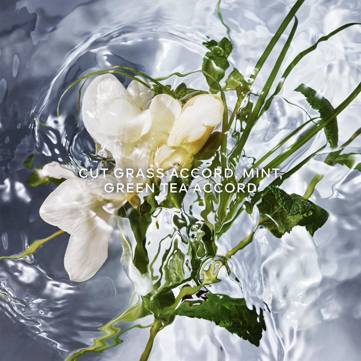 Toaletná voda Guerlain Aqua Allegoria Herba Fresca - 75 ml