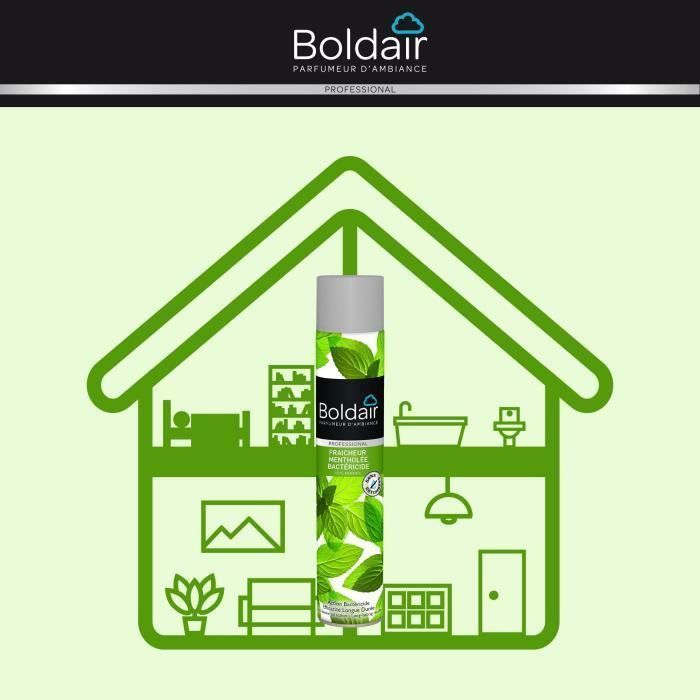 Desodorizador de Ambientes Bactericida - Frescor Mentolado - 500 mL