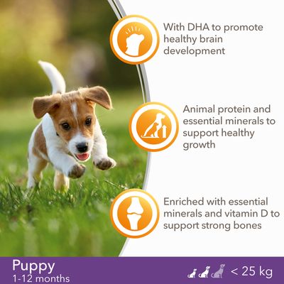 IAMS dla szczeniąt i młodych psów Vitality Small & Medium Dog - Kurczak