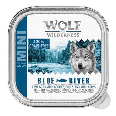 Wolf of Wilderness Erwachsenen-Sparpackung 24 x 150 g