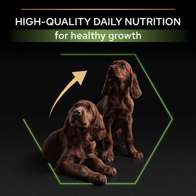 PURINA PRO PLAN Large Athletic Puppy Healthy Start