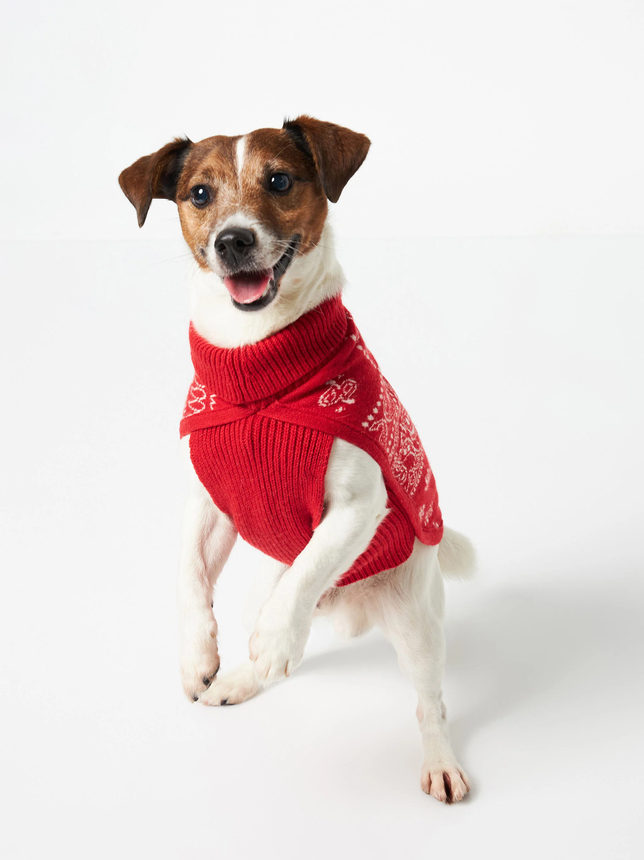 Jersey para perro con estampado de pañuelo