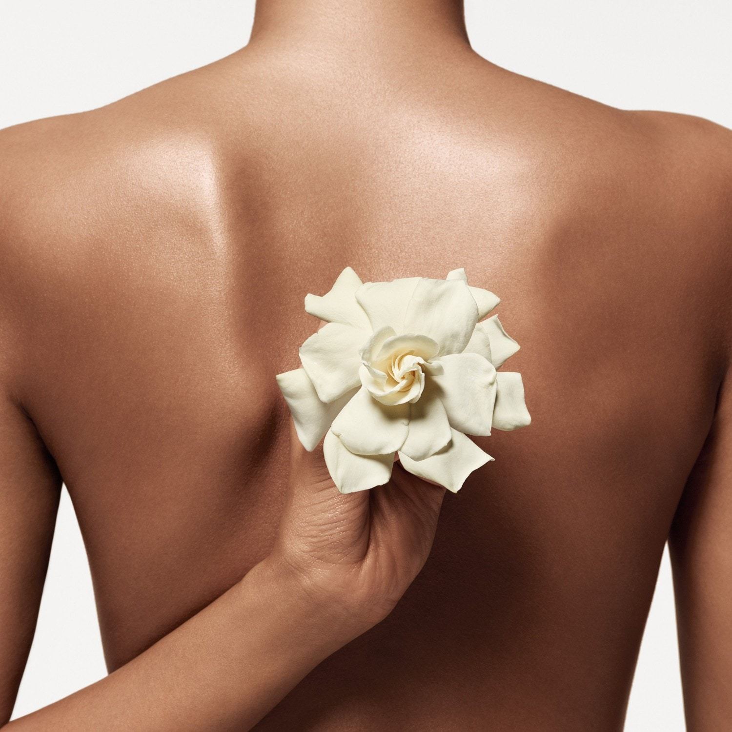 Donna Karan dezodorans u stiku s mirisom kašmira - 50 ml
