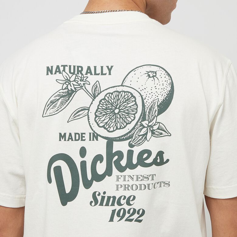 Raven Tee Shortsleeve
