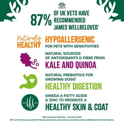 James Wellbeloved Adult Superfoods - Tacchino con cavolo nero e quinoa