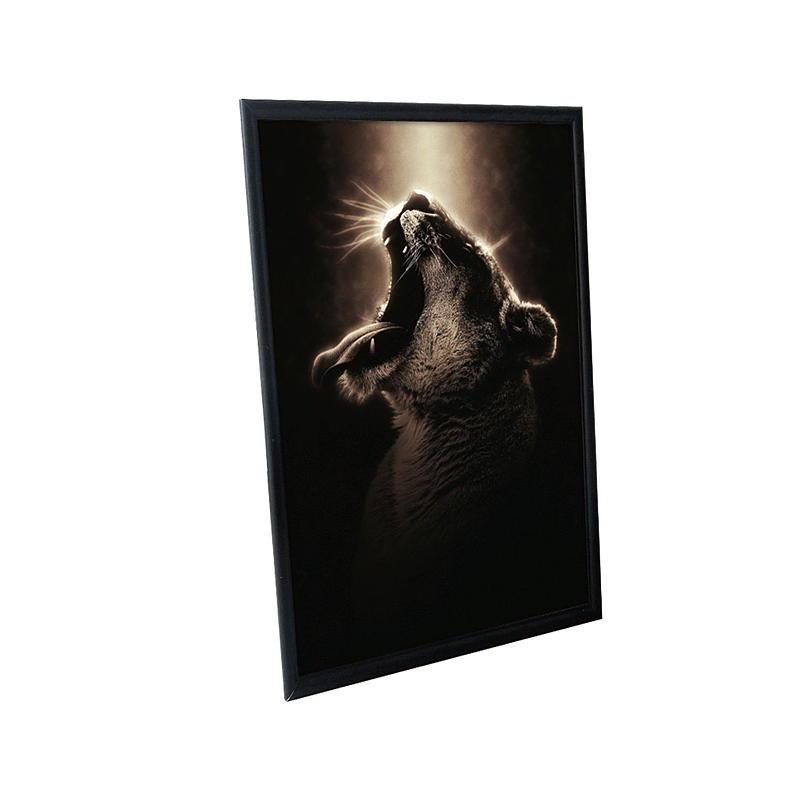 Home fotolijst Siri 40x50 cm, zwart