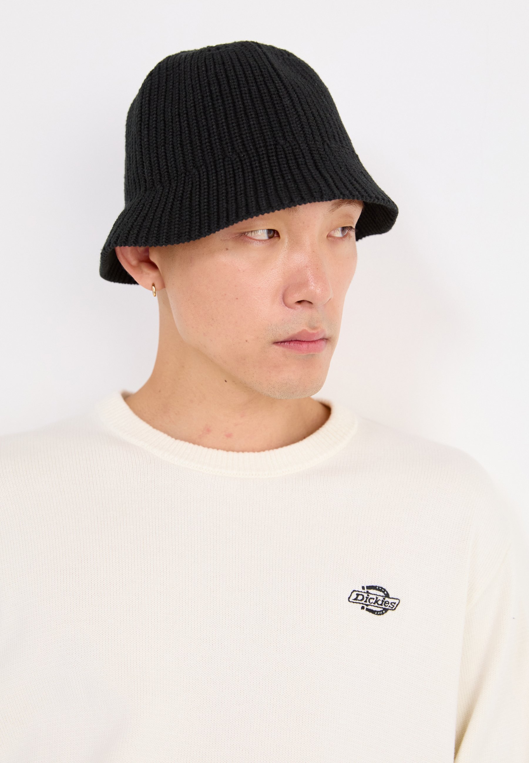 Dickies Strickpullover