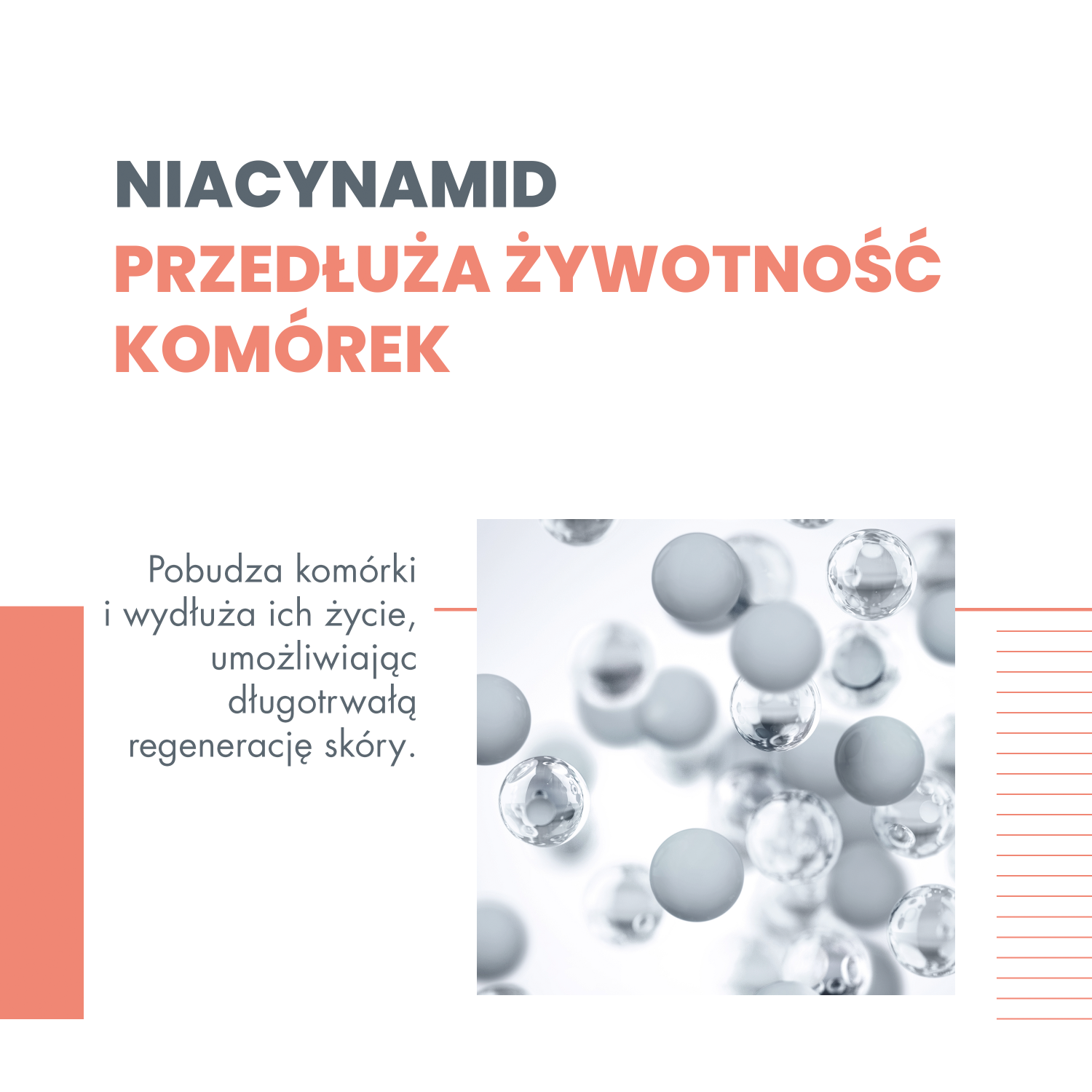 Avène Hyaluron Activ B3