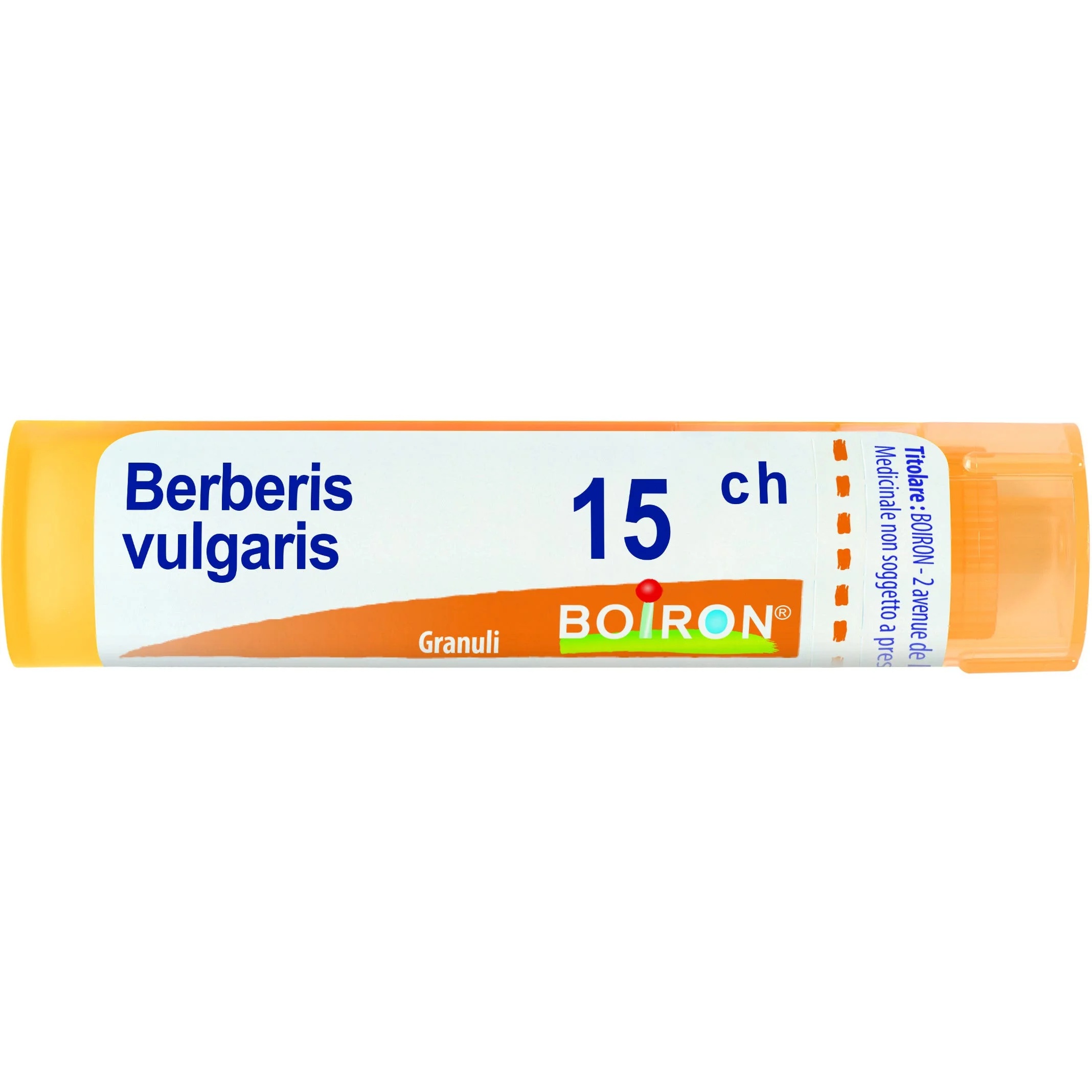 BOIRON Berberis Vulgaris 15 Ch 80 Gr 4 G