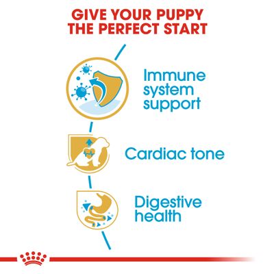 Royal Canin Cavalier King Charles Puppy