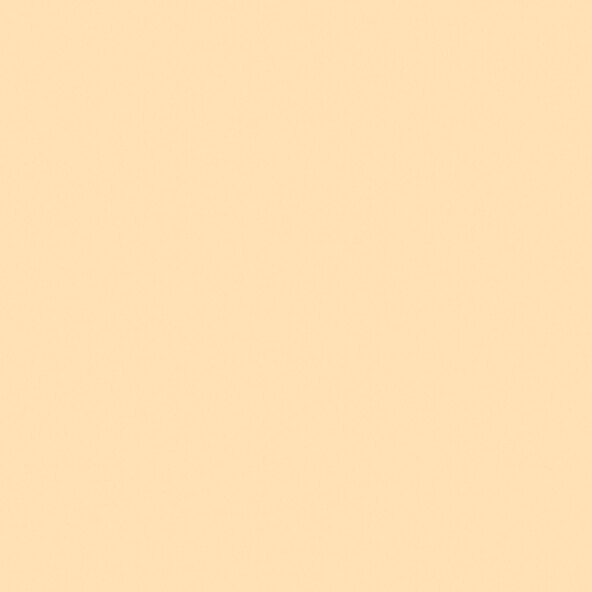 Farbenfreunde nr. 3 Seesternorange, 2,5l