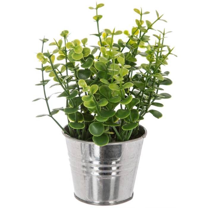Atmosphera - Plante artificielle en pot zinc H17 D, 8 x H, 17 cm Fougères