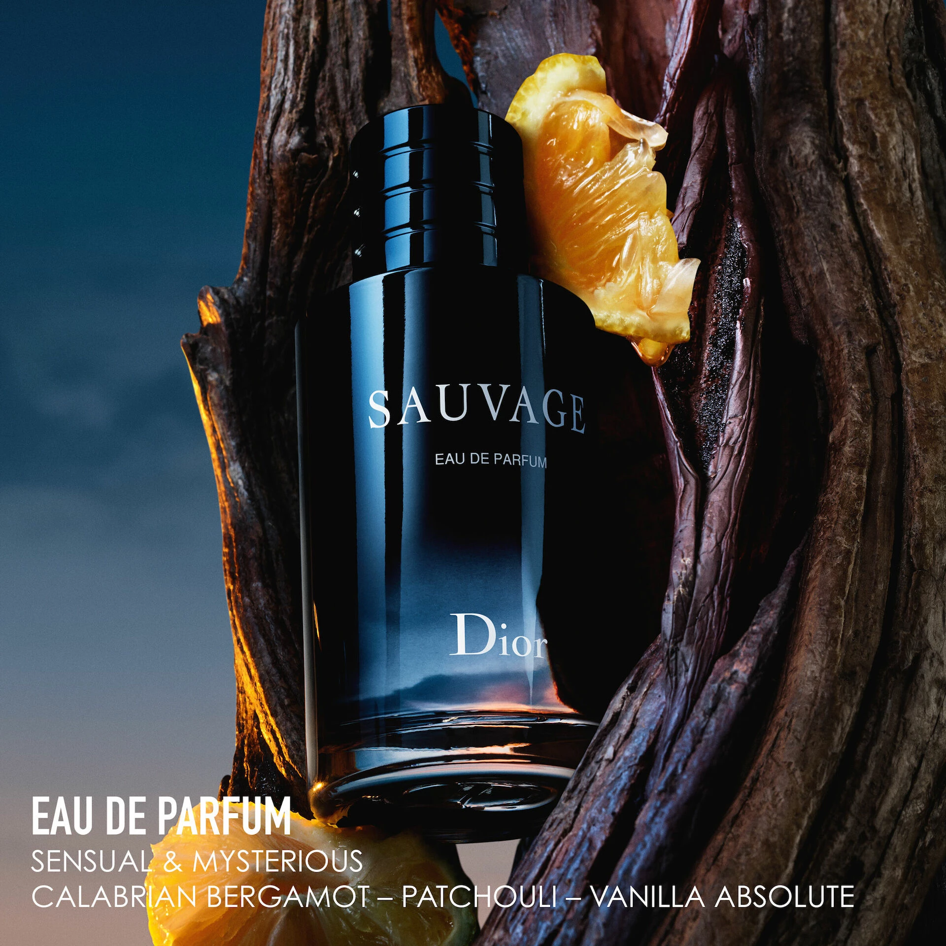Sauvage parfemska voda 100 ml - DIOR