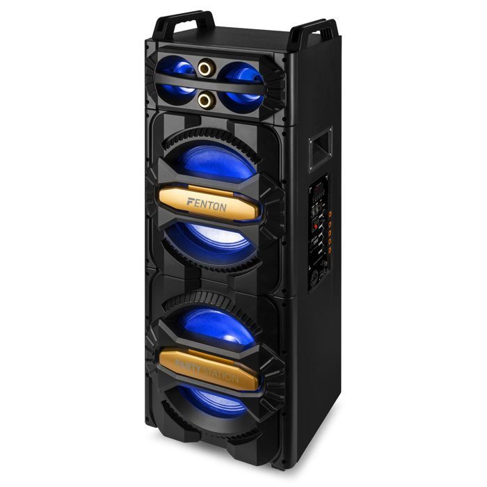 Fenton LIVE2102 Enceinte de soirée Bluetooth avec LEDs RGB - 800 Watts, Micro Inclus, 2x 10 pouces, Lecteur MP3