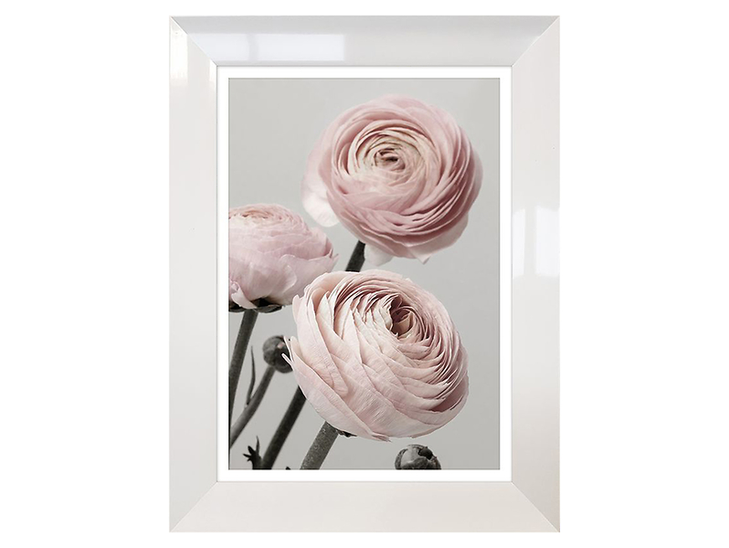 Obraz Roses 50x70 cm