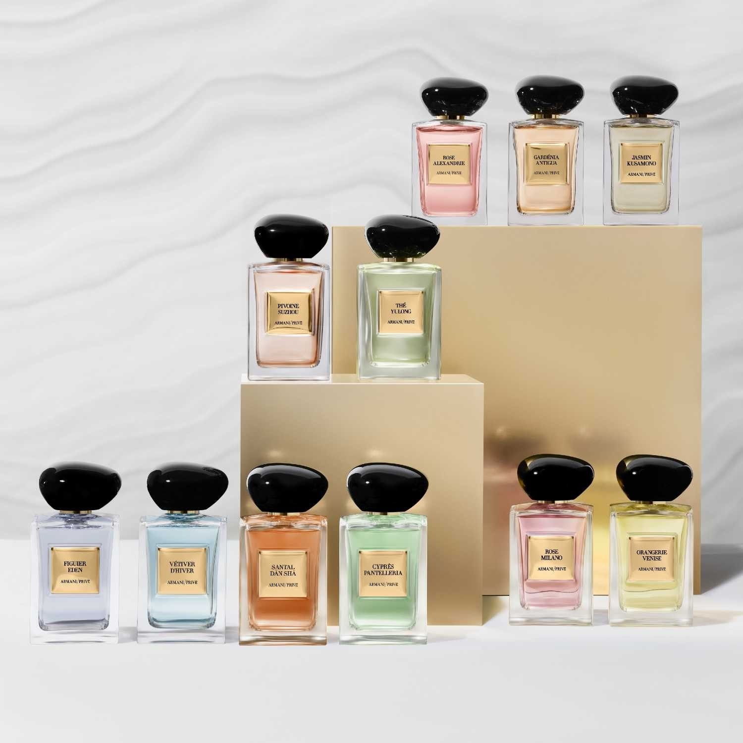 Armani Rose Alexandrie