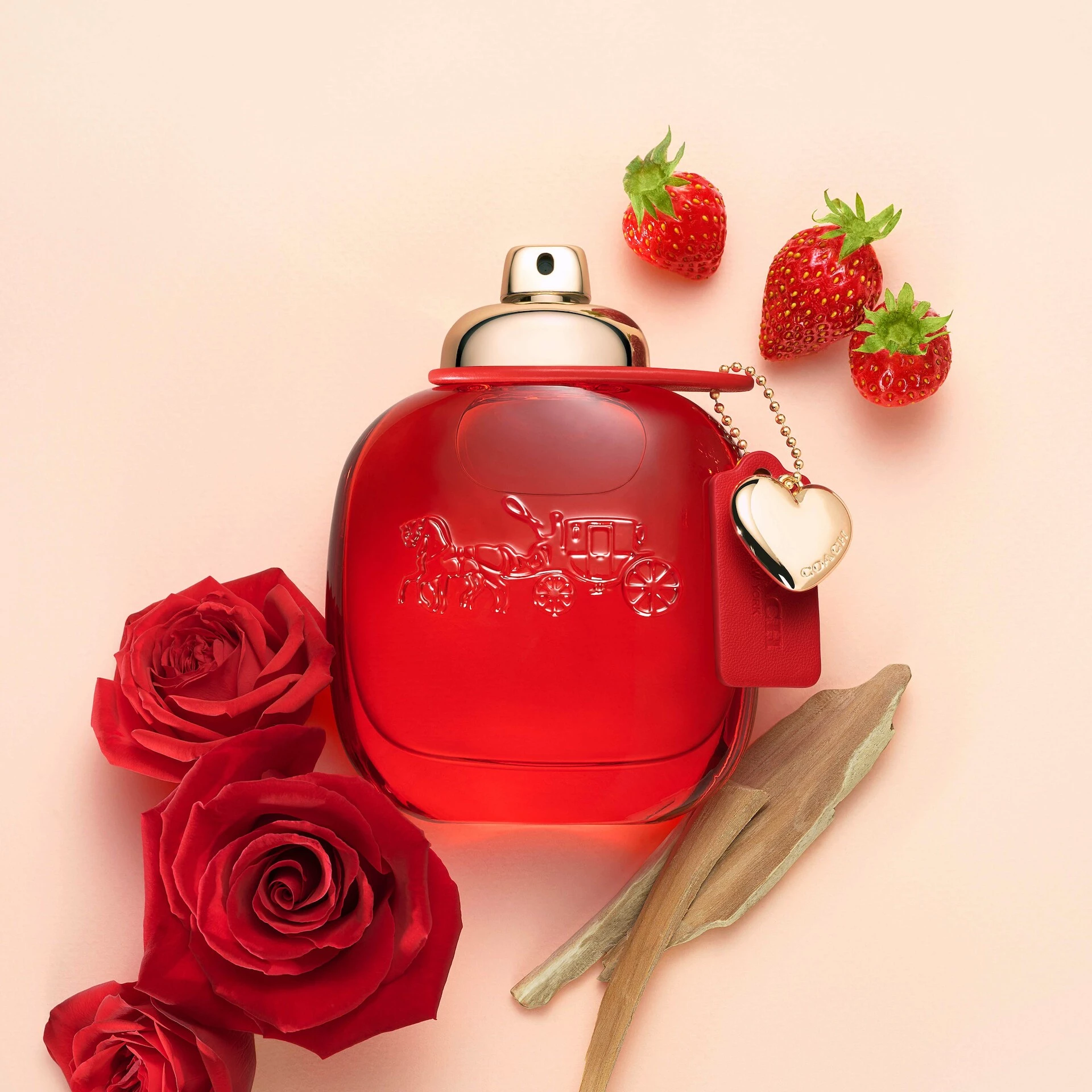 Love EDP 30 ml - Coach
