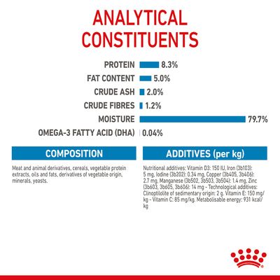 Royal Canin Maxi Puppy în sos