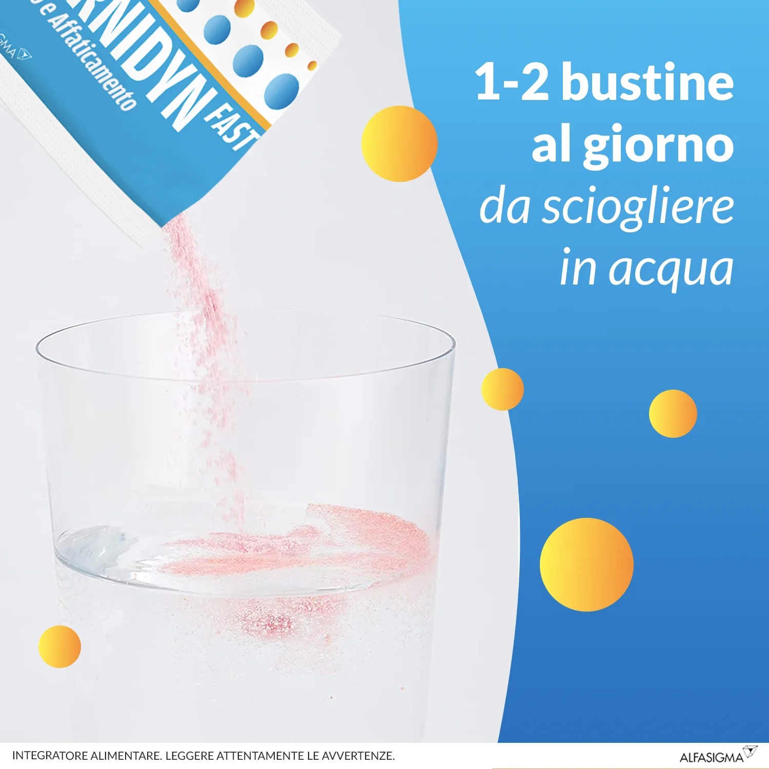 CARNIDYN Carnidyn Fast 12 sachets Complément alimentaire contre la chaleur et la fatigue