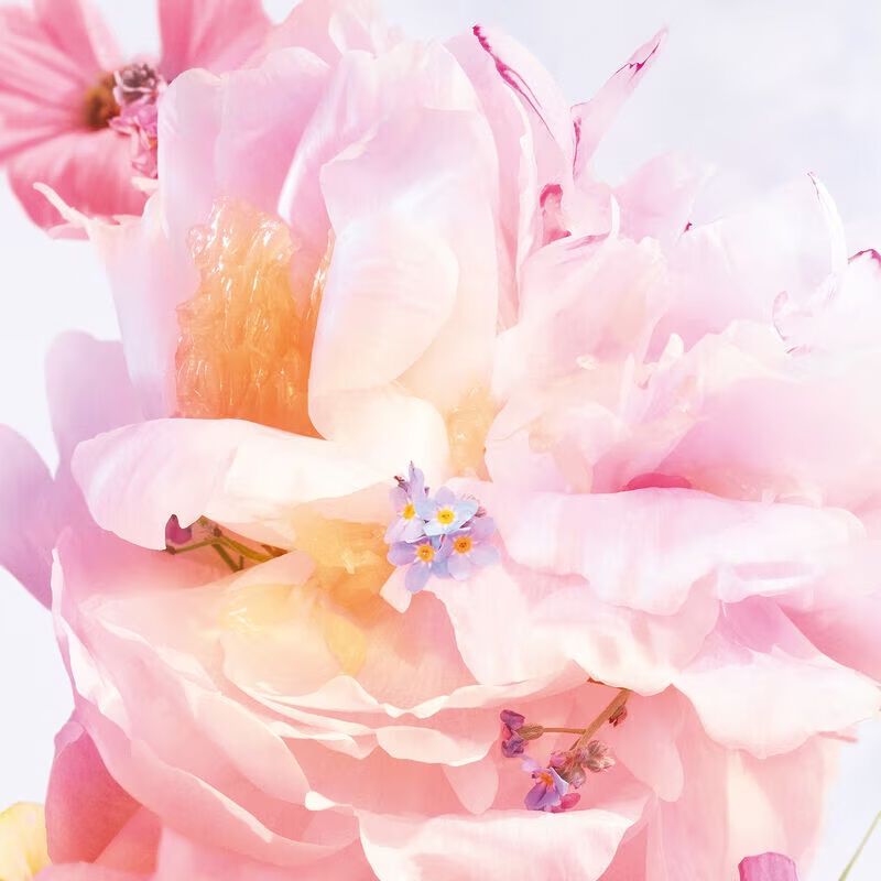 Dior Miss Dior Blooming Bouquet (2023)