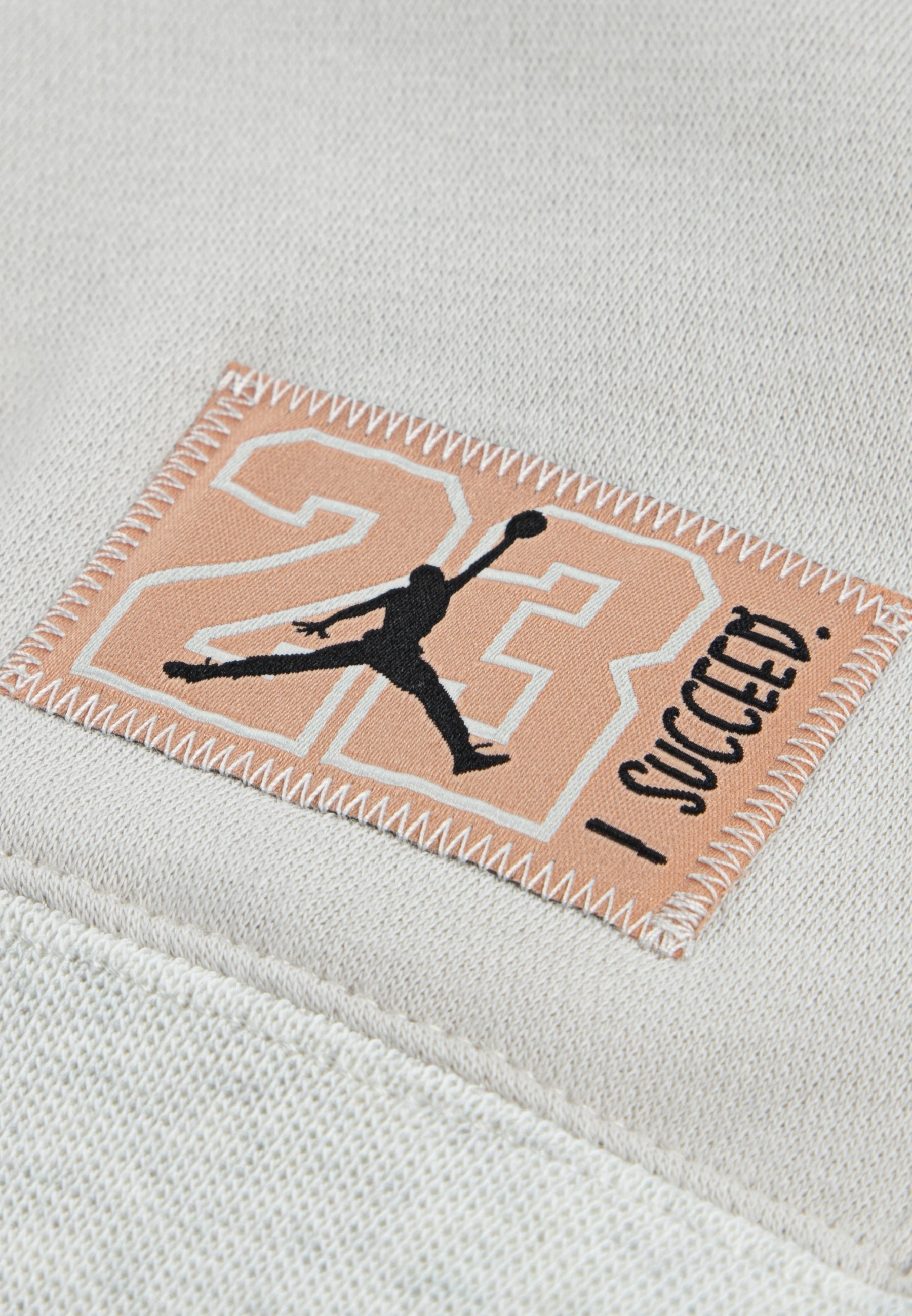 Sweat à capuche Jordan FUTURE FLIGHT - Gris clair