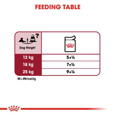Royal Canin Medium Ageing 10+ i sovs