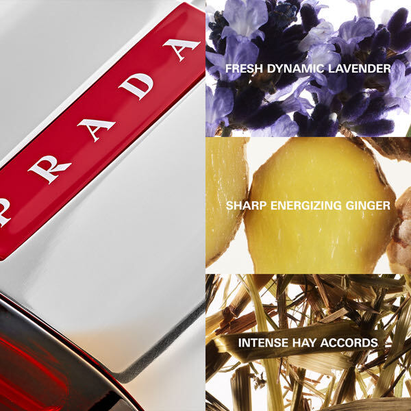 Prada Luna Rossa Sport Eau de Toilette 50 ml