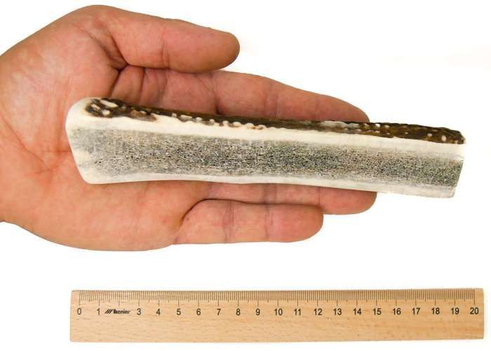 RF-DEER Cuerno de Ciervo Rojo, Premium Suave XL, 19-21 cm (151-190 g), Cuernos de Ciervo para Cachorros y Perros, Palos 100% Naturales