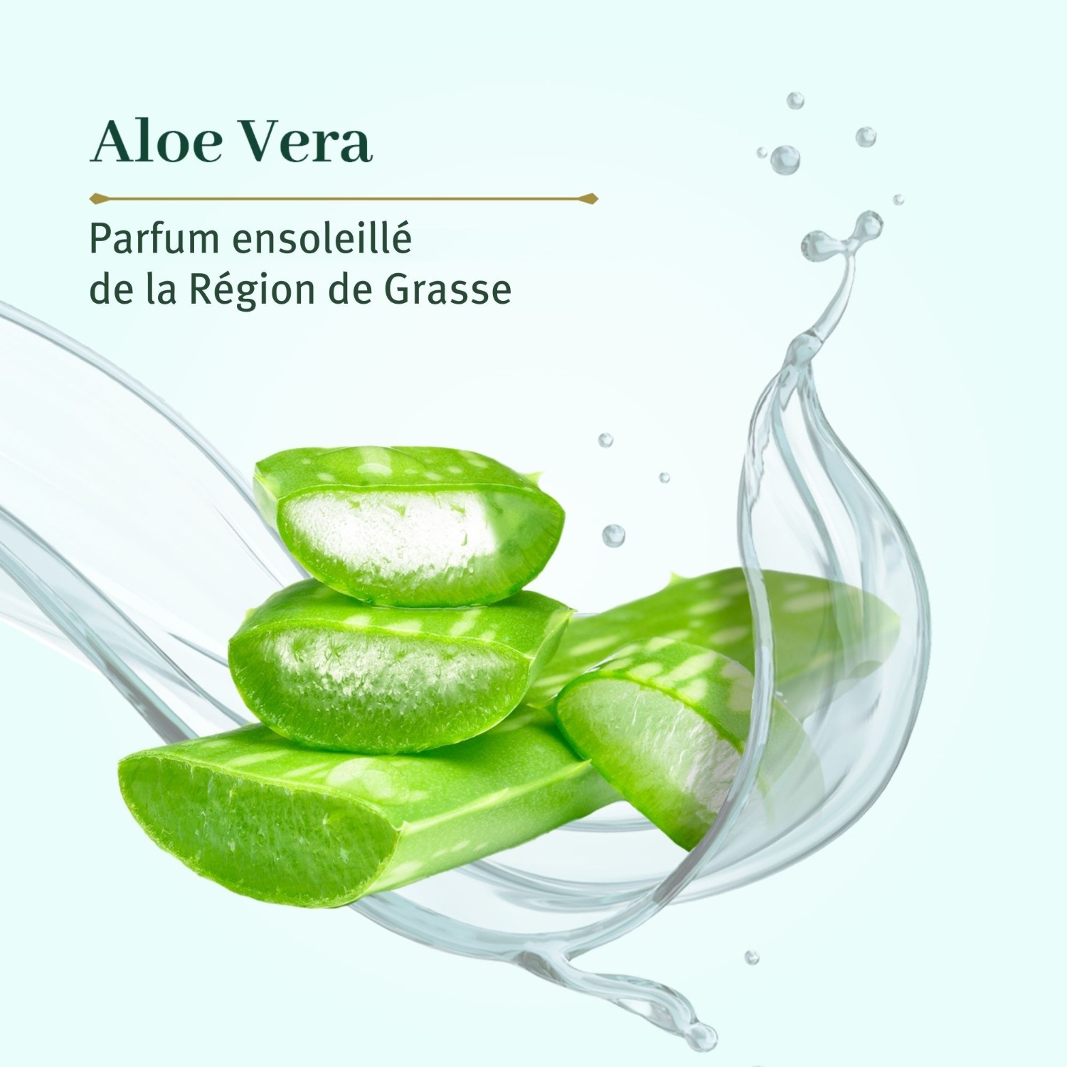 Le Petit Olivier 2 Savonnettes Extra Douces Aloe Vera