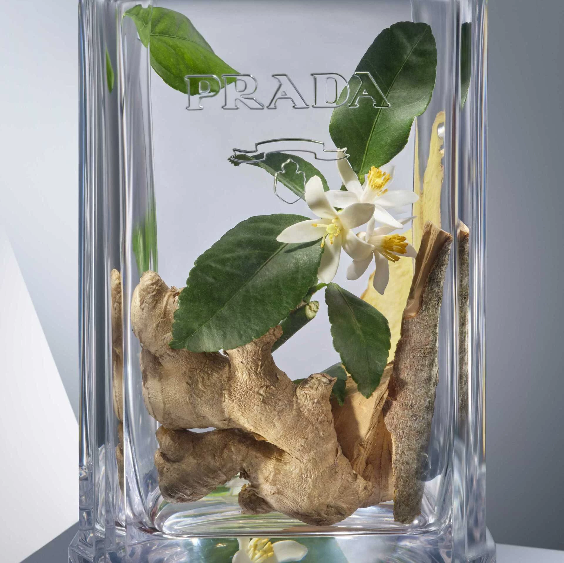 L'Homme L'Eau EdT 100 ml - Prada