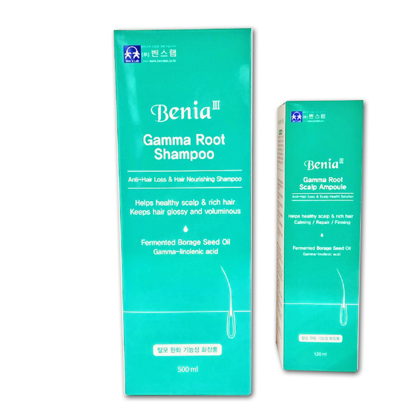 Benia III Gamma root