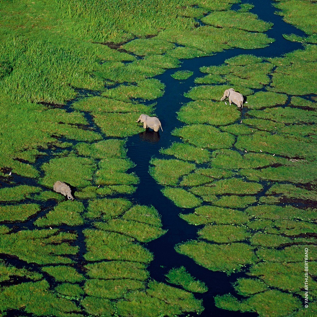 Toaletná voda Guerlain Aqua Allegoria Flora Salvaggia - 75 ml