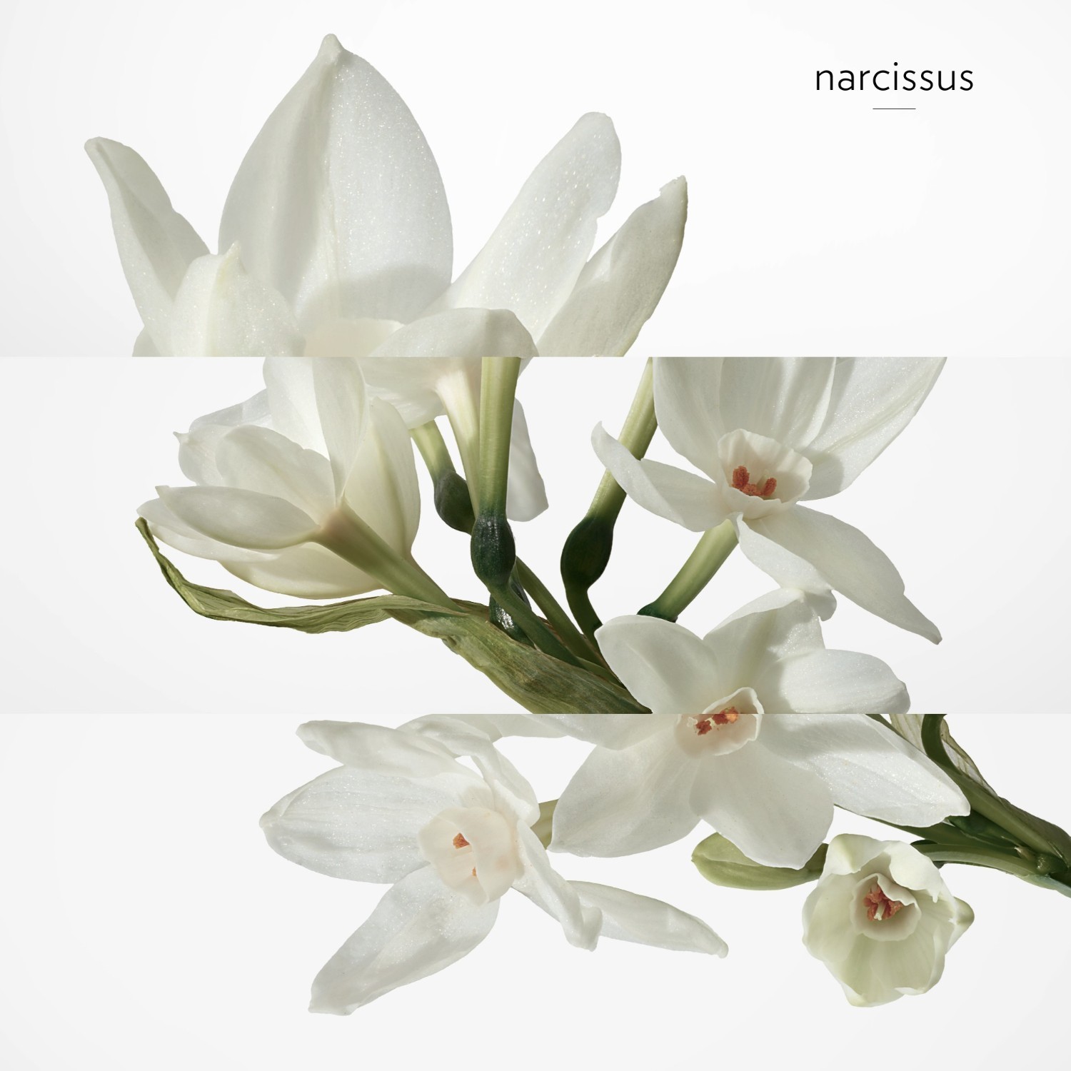 Toaletna voda HERMÈS H24 - 30 ml