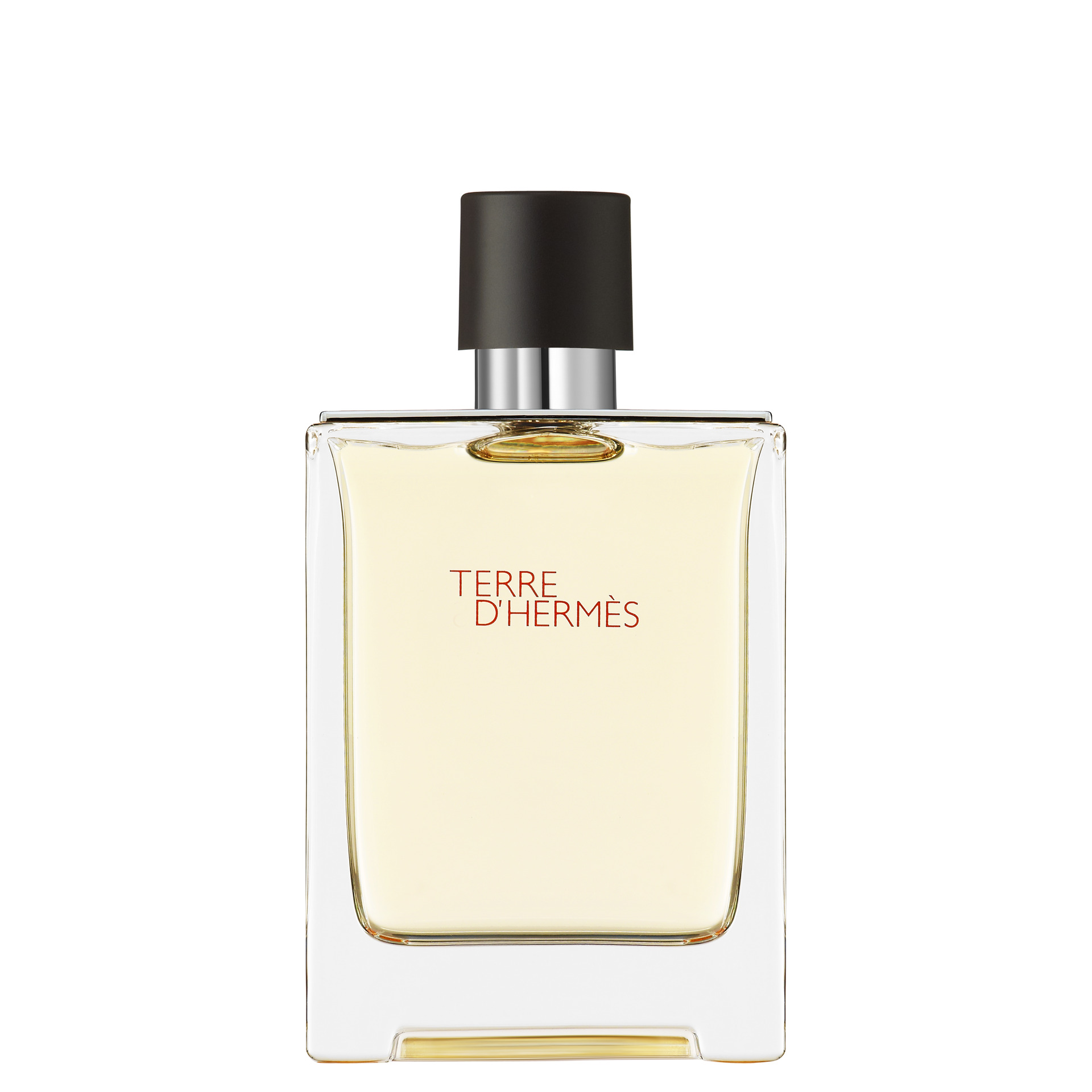Apa de toaleta Terre D'Hermès 100 ml - HERMÈS