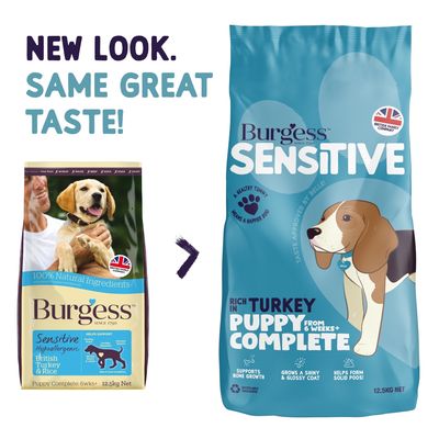 Burgess Sensitive Valp