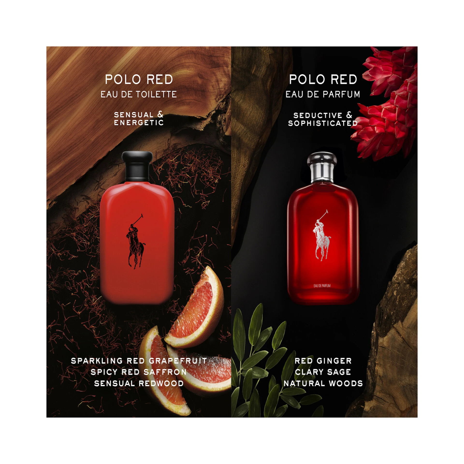 Polo Red EDT 75 ml - Ralph Lauren
